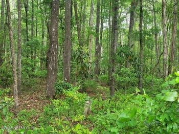 2777 County Rd 220, Middleburg, FL 32068