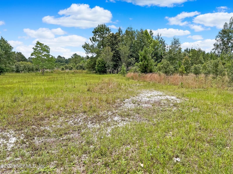 0 Black Creek Dr, Middleburg, FL 32068