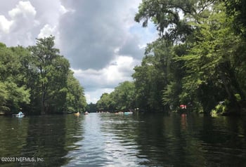 162 Whispering Pines Rd, Georgetown, FL 32139