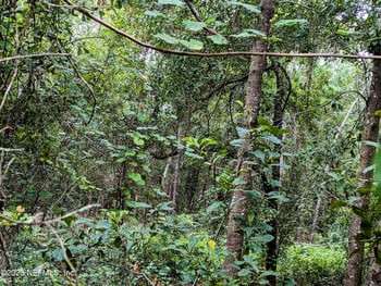 5677 Caribbean Cir, Keystone Heights, FL 32656