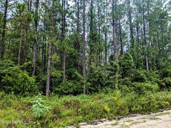 4436 Lori Loop Rd, Keystone Heights, FL 32656