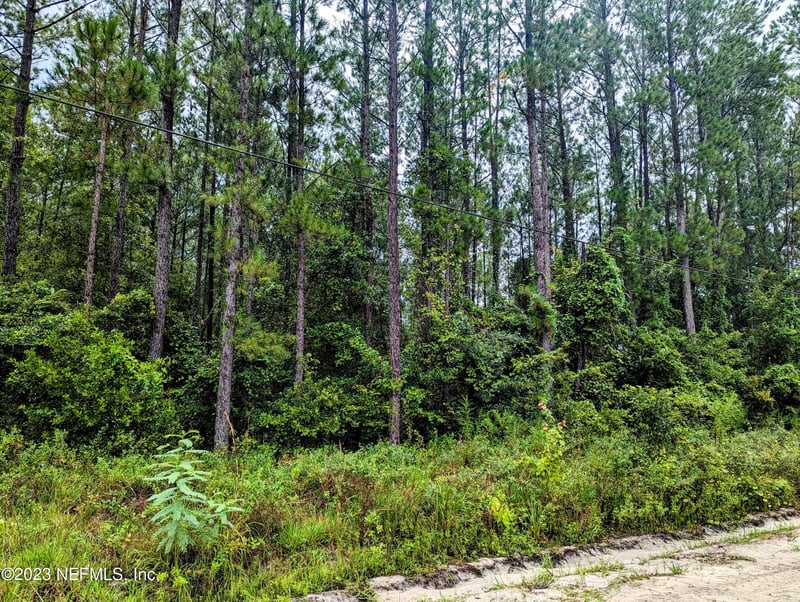 4436 Lori Loop Rd, Keystone Heights, FL 32656