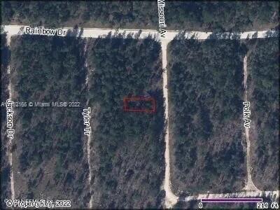 211-215 Missouri Ave, Hawthorne, FL 32640