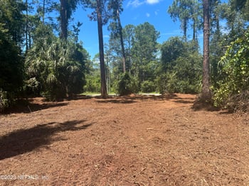 162 Whispering Pines Rd, Georgetown, FL 32139