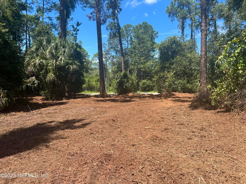 162 Whispering Pines Rd, Georgetown, FL 32139