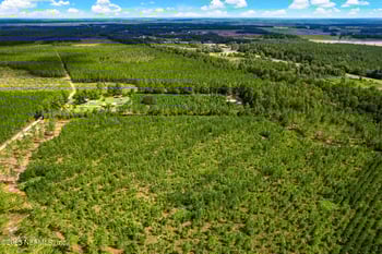 LOT 7 Georgia St, Hilliard, FL 32046