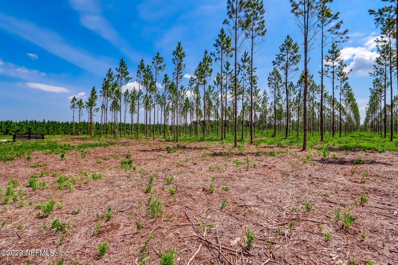 LOT 10 Georgia St, Hilliard, FL 32046