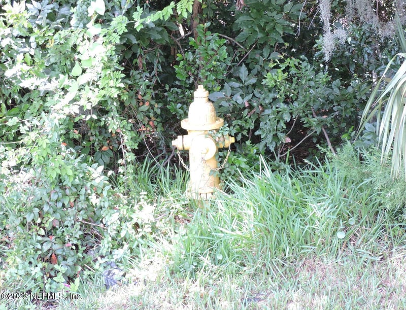 12526 Yellow Bluff Rd, Jacksonville, FL 32226