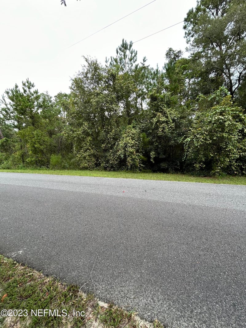 4431 Tarragon Ave, Middleburg, FL 32068