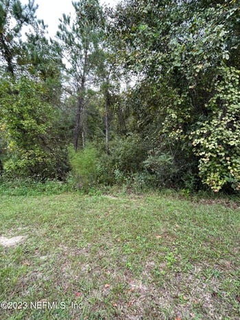 4431 Tarragon Ave, Middleburg, FL 32068