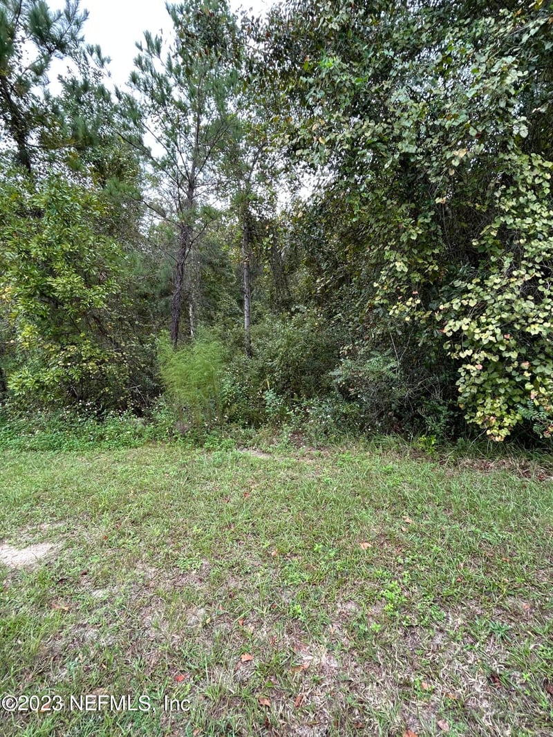 4431 Tarragon Ave, Middleburg, FL 32068