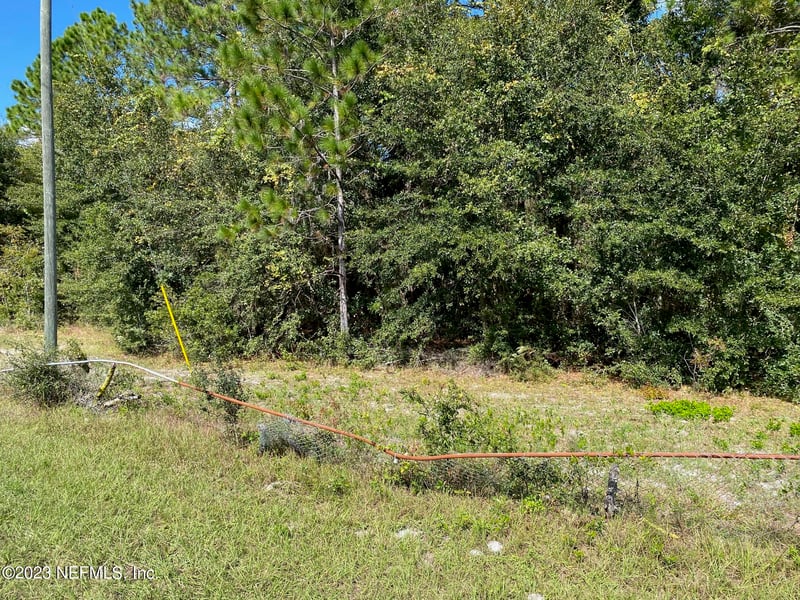 TBD Fl Sr 20 Hw, Interlachen, FL 32148