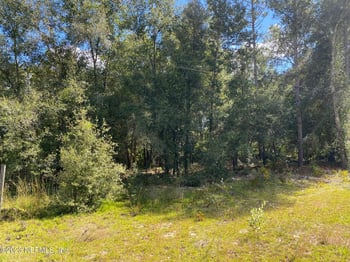 X9X Tasby St, Interlachen, FL 32148