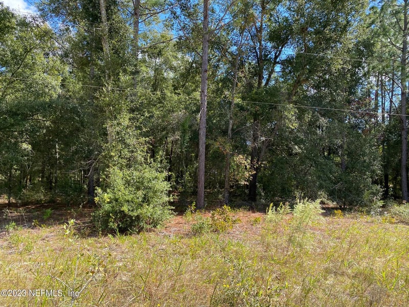 X9X Tasby St, Interlachen, FL 32148