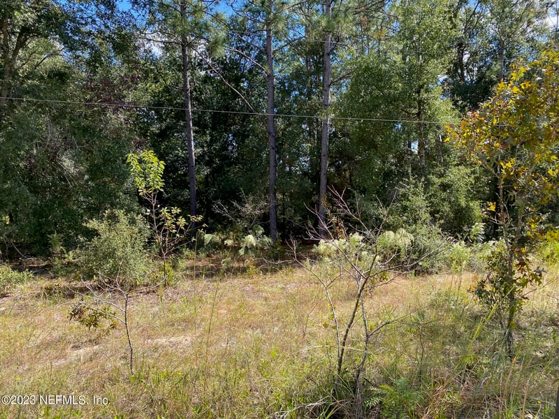 X9X Tasby St, Interlachen, FL 32148