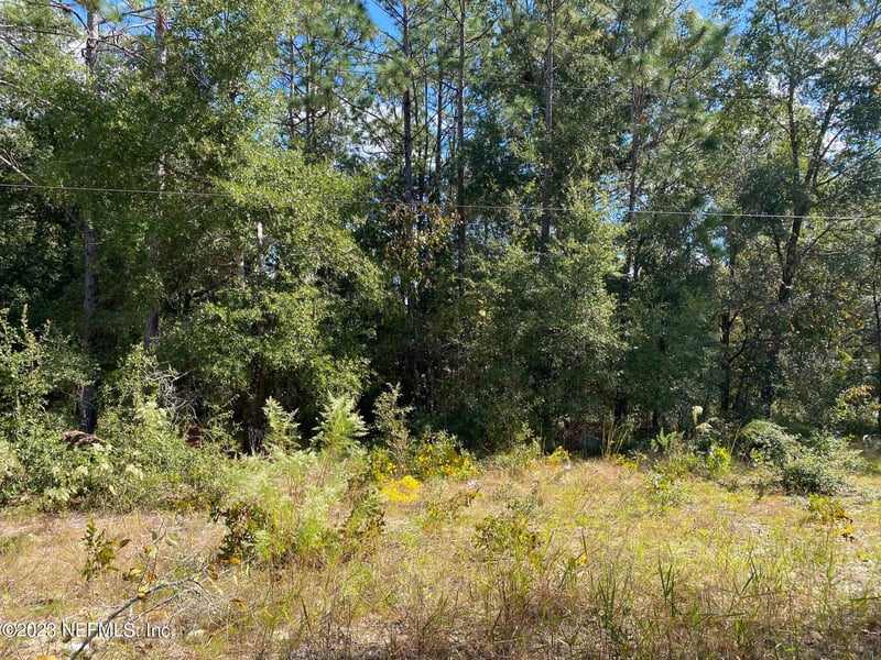 X9X Tasby St, Interlachen, FL 32148