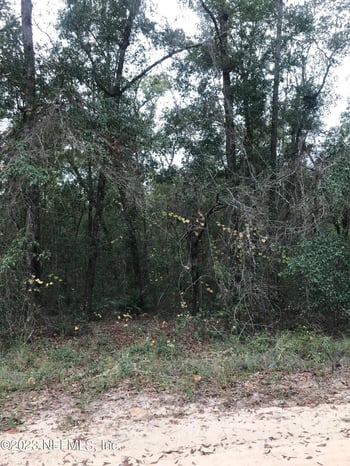 LOT 27 Brett Ave, Interlachen, FL 32148