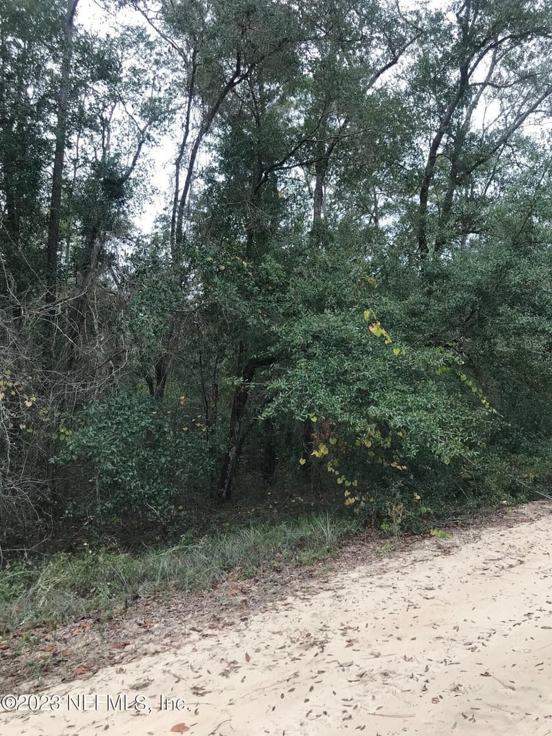 LOT 27 Brett Ave, Interlachen, FL 32148