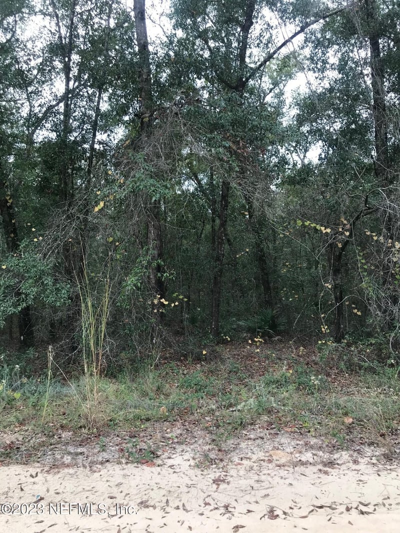 LOT 27 Brett Ave, Interlachen, FL 32148
