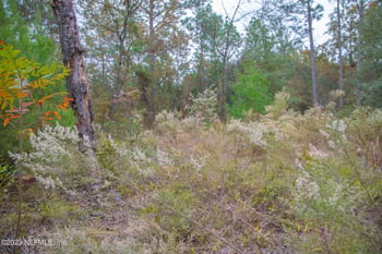 6099 Harvard Ave, Keystone Heights, FL 32656