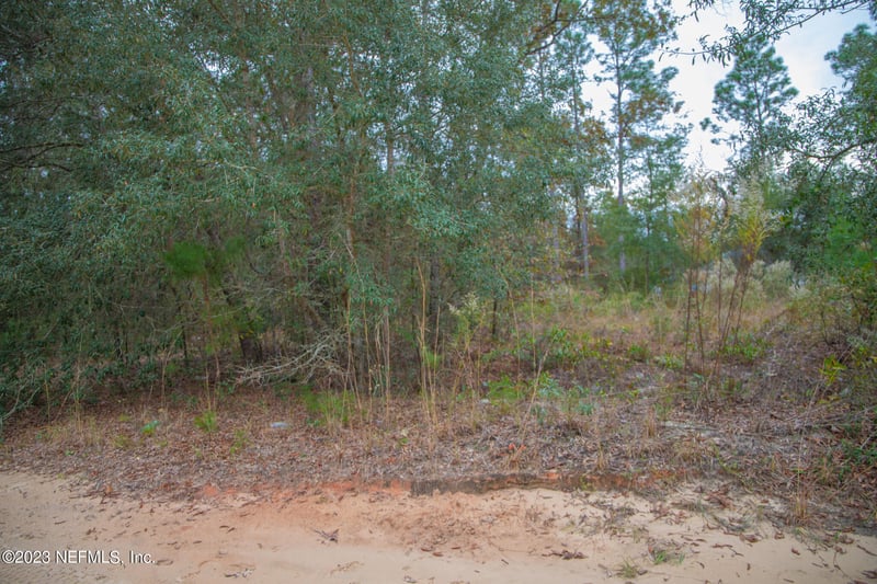 6099 Harvard Ave, Keystone Heights, FL 32656