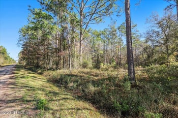 10690 Gregory Ave, Hastings, FL 32145