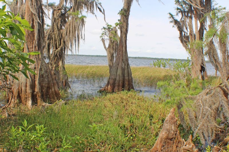 2048 SE County Road 21b, Melrose, FL 32666