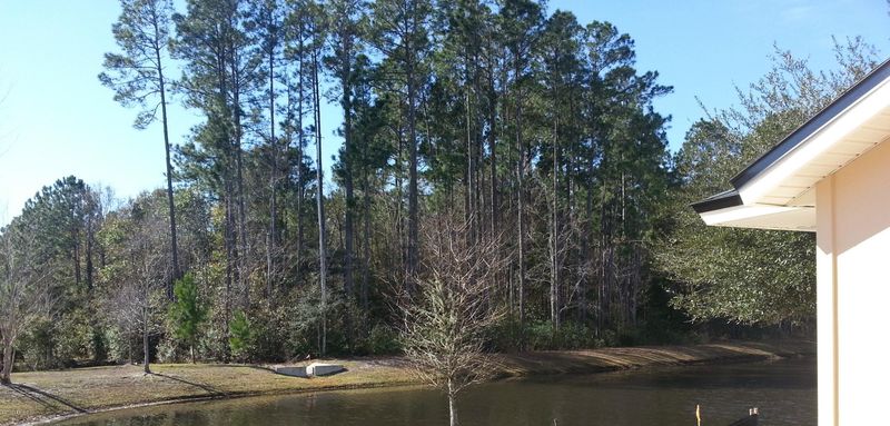2055 Cherokee Cove Trl, Jacksonville, FL 32221
