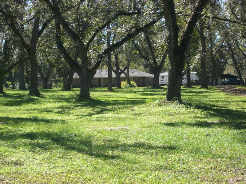 20608 NW Sr 16, Starke, FL 32091