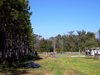 208 Belmont Dr, Jacksonville, FL 32259