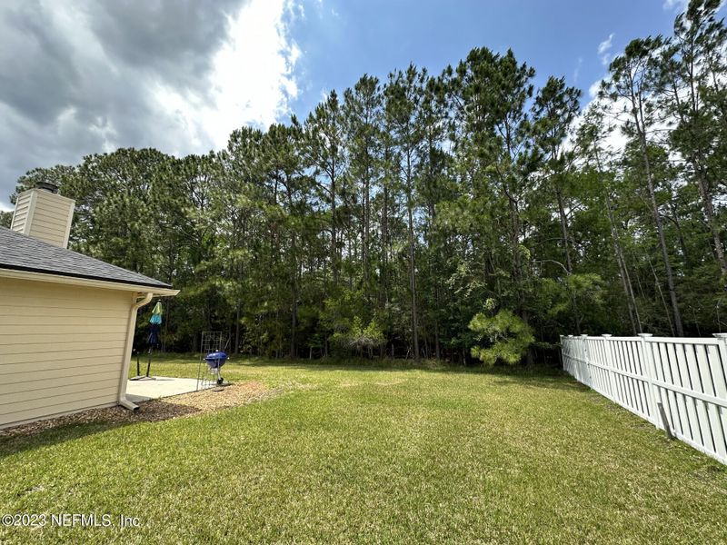 209 Ivy Lakes Dr, St Johns, FL 32259