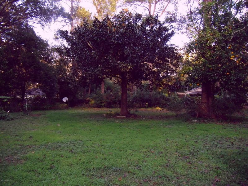 2102 Harvard St, Middleburg, FL 32068