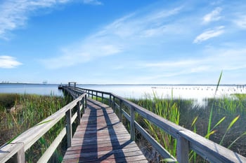 2236 Rio Cove Dr, Jacksonville, FL 32225