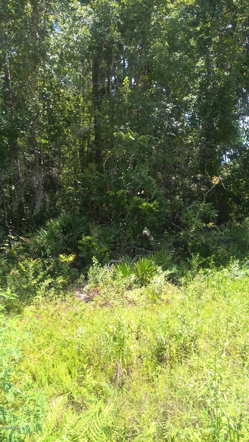 2301 Arrowroot Ave, Middleburg, FL 32068