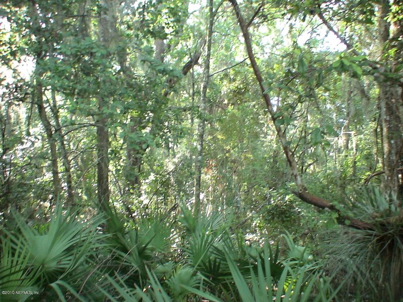 2318 Moremen Rd, St Johns, FL 32259