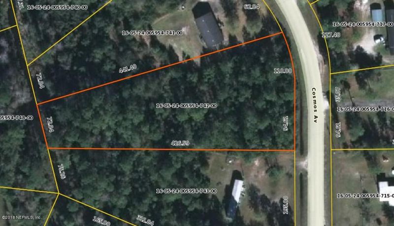2332 Cosmos Ave, Middleburg, FL 32068