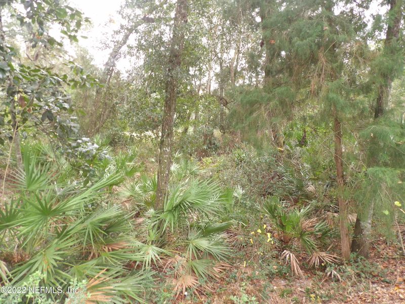 2374 Sandy Run Dr N, Middleburg, FL 32068