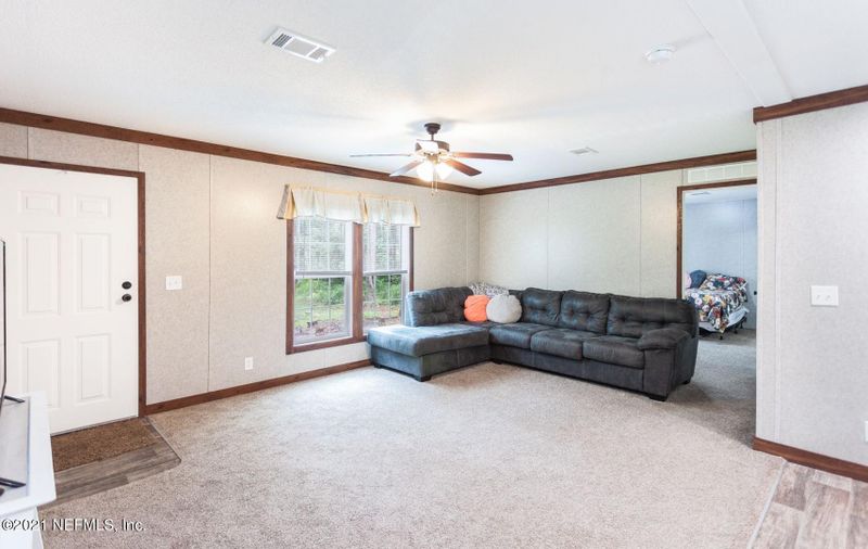 246 Horsetail Ave, Middleburg, FL 32068