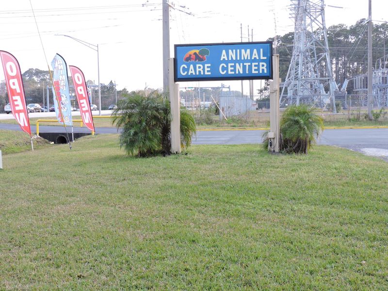 2520 St Johns Bluff Rd S, Jacksonville, FL 32246