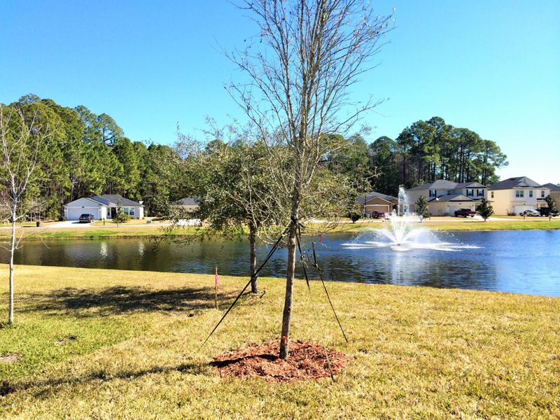 257 Timberwood Dr, St Augustine, FL 32084