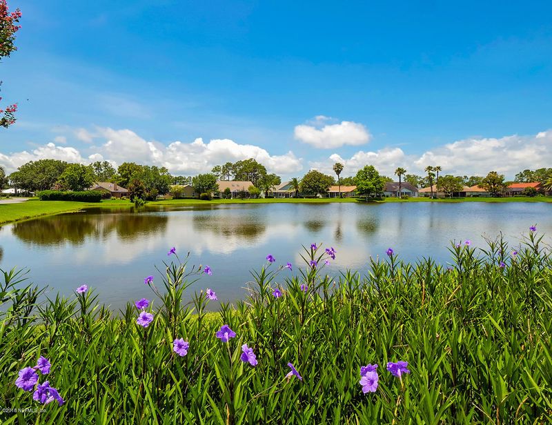 260 Patrick Mill Cir, Ponte Vedra Beach, FL 32082