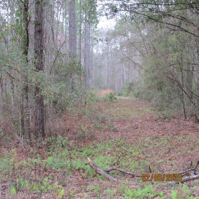 2603 Us 301, Jacksonville, FL 32234