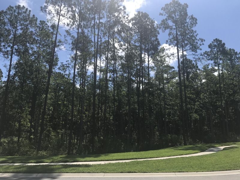 262 Wingstone, Jacksonville, FL 32081