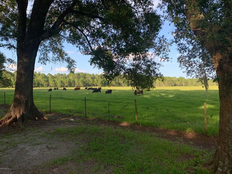 2643 NE 185th St, Starke, FL 32091