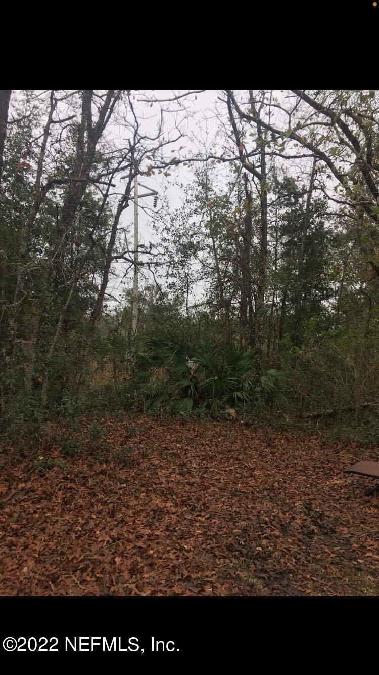 2669 Silver Creek Dr, Green Cove Springs, FL 32043