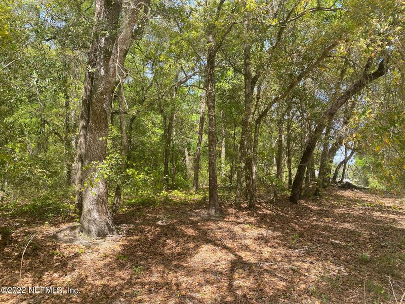 270 Ashley Lake Dr Al, Melrose, FL 32666