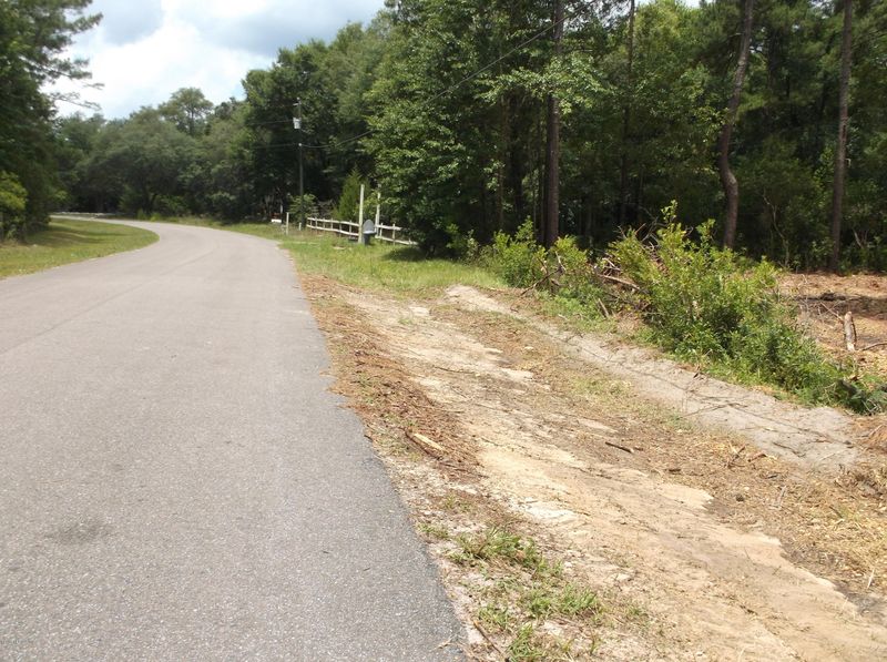 2723 N Periwinkle Ave, Middleburg, FL 32068