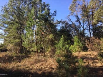 2745 Lightning Way, Hilliard, FL 32046