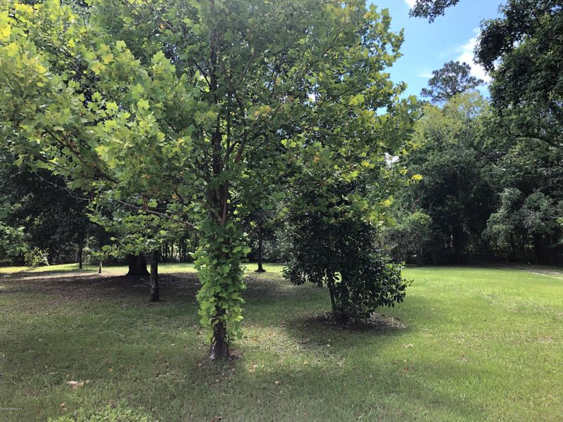 2830 Joe Ashton Rd, St Augustine, FL 32092
