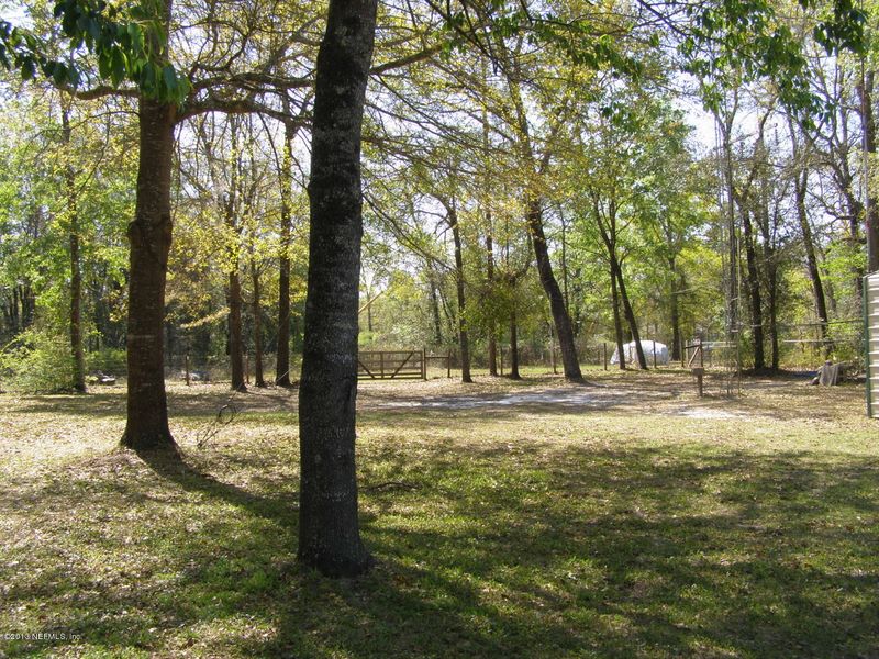 2835 Fennel Ave, Middleburg, FL 32068